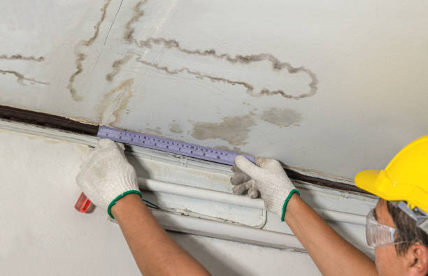Reliable Mold Remediation contractor in Lexington, MI by Local Water Damage Repair